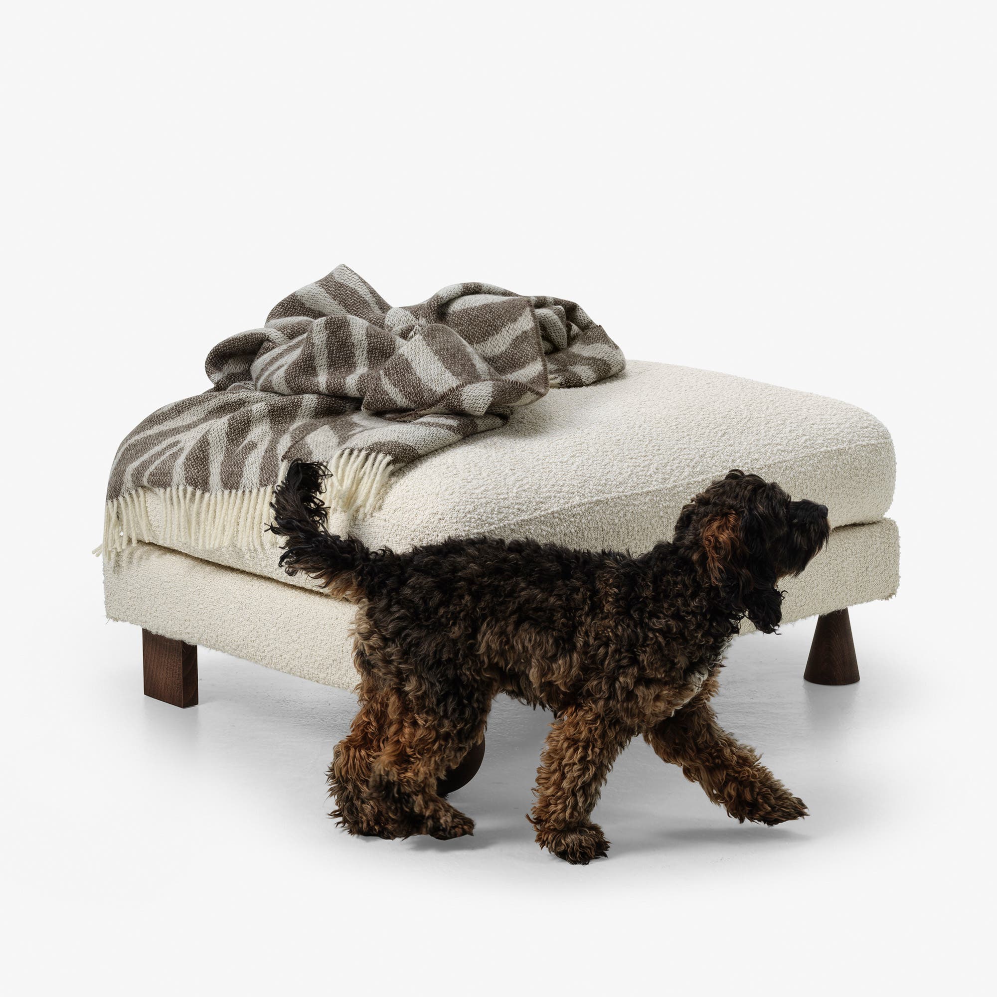 How to choose fabrics for your pet